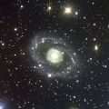 images/avatars/avatar-57.jpg